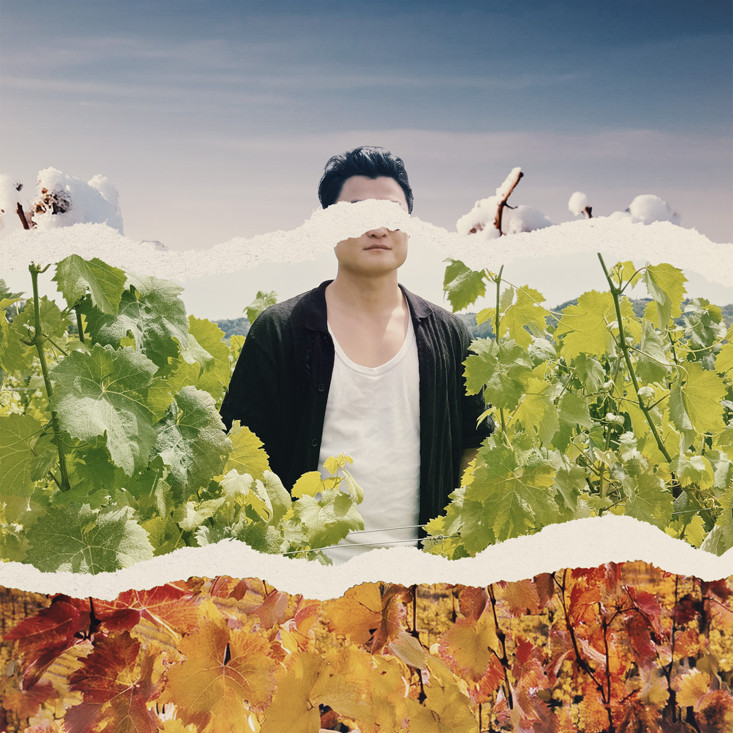 Arial Ten - Seasons cover artwork