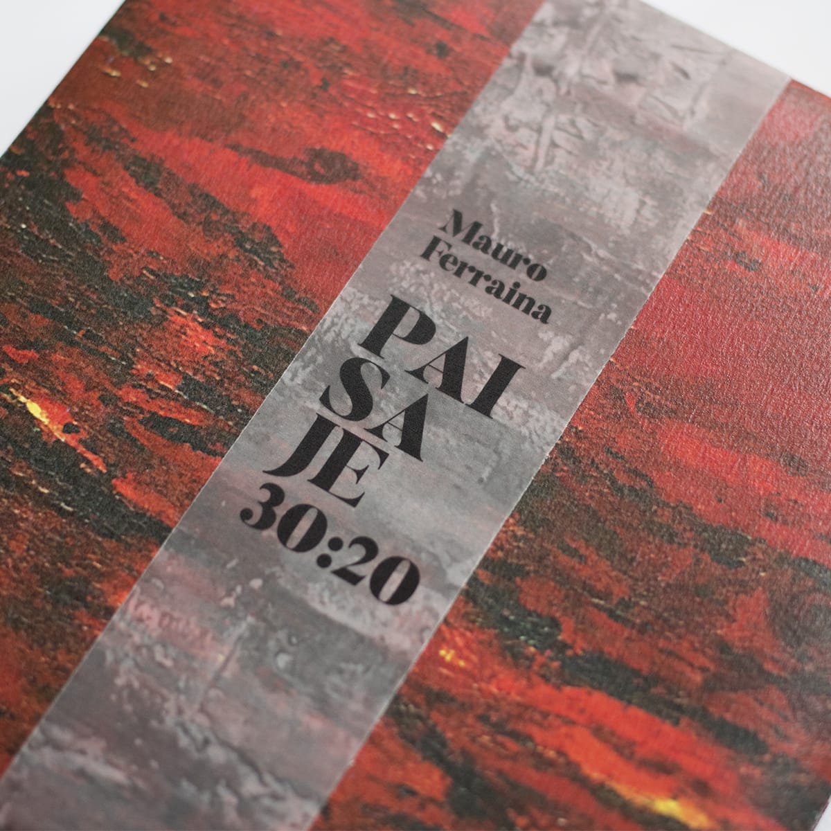 paisaje3020_tapa reencuadre